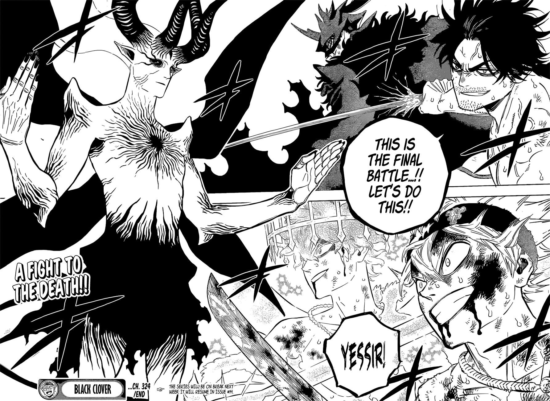 BLACK CLOVER Chapter 324 - Page 12 in English