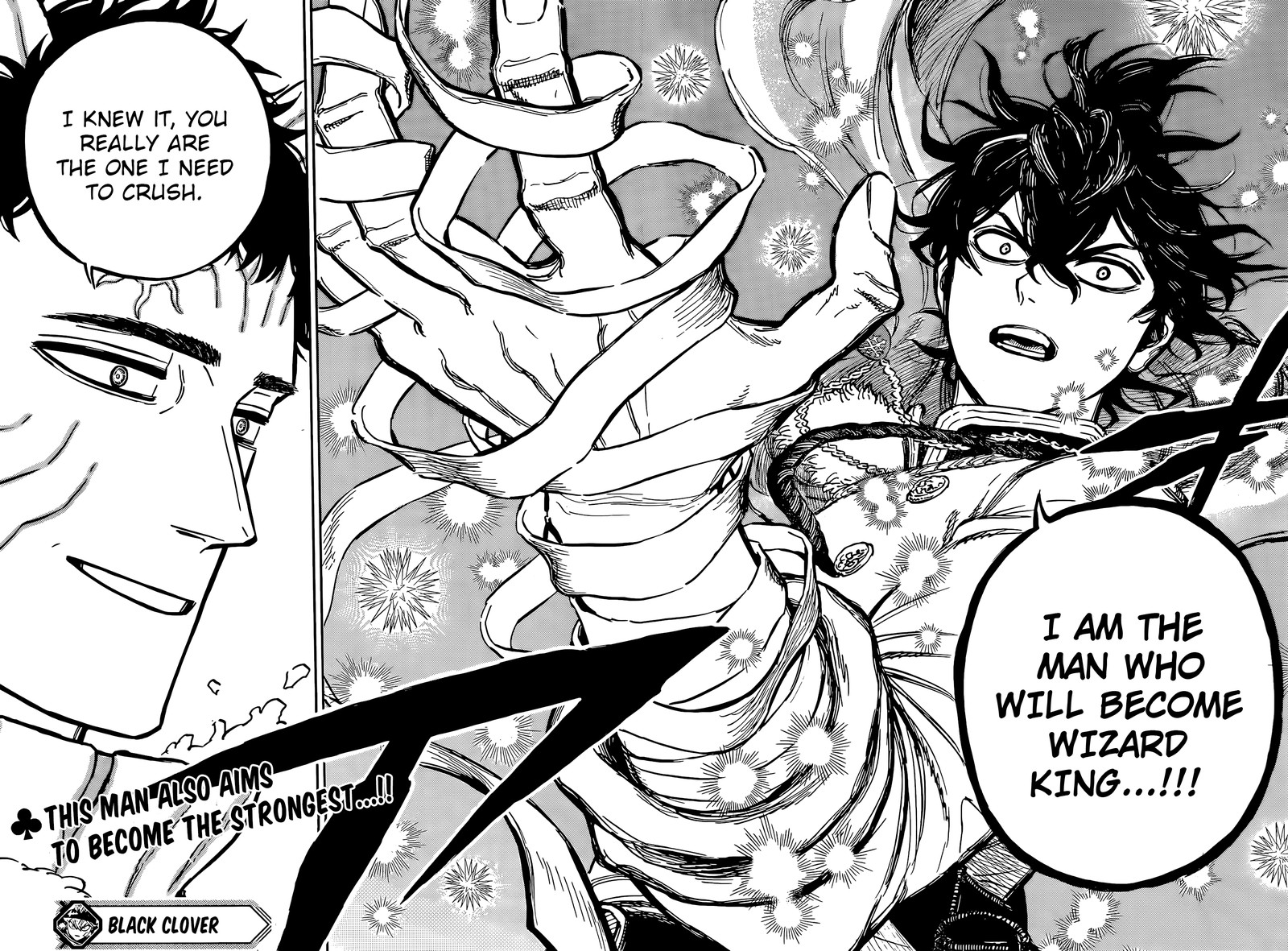 BLACK CLOVER Chapter 355 - Page 14 in English