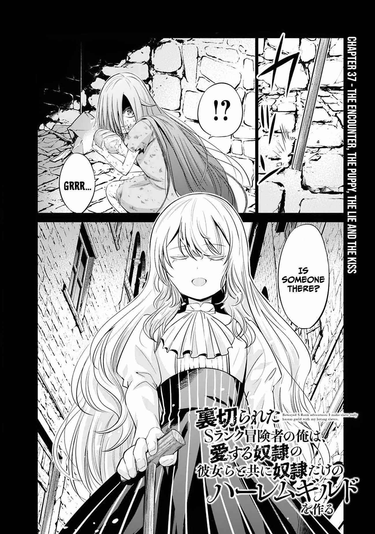 A Betrayed S-rank Adventurer, I Make a Slave-only Harem Guild With My Beloved Slaves Chapter 37 - Page 3 in English