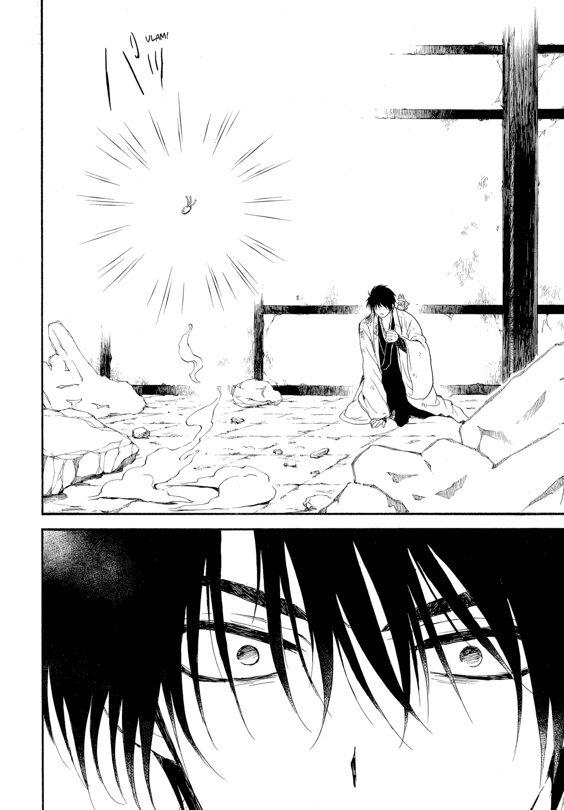 Akatsuki no Yona Chapter 261 - Page 13 in English
