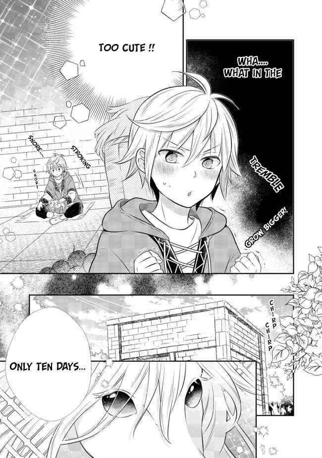I Was Reincarnated as a Poor Farmer in a Different World, so I Decided to Make Bricks to Build a Castle Chapter 4.1 - Page 8 in English