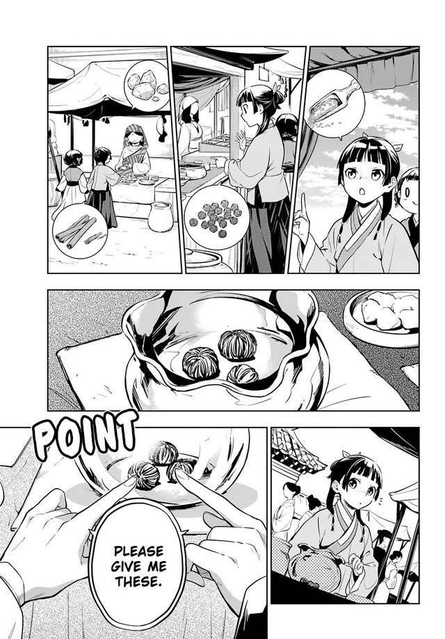 Kusuriya no Hitorigoto Chapter 43.1 - Page 13 in English