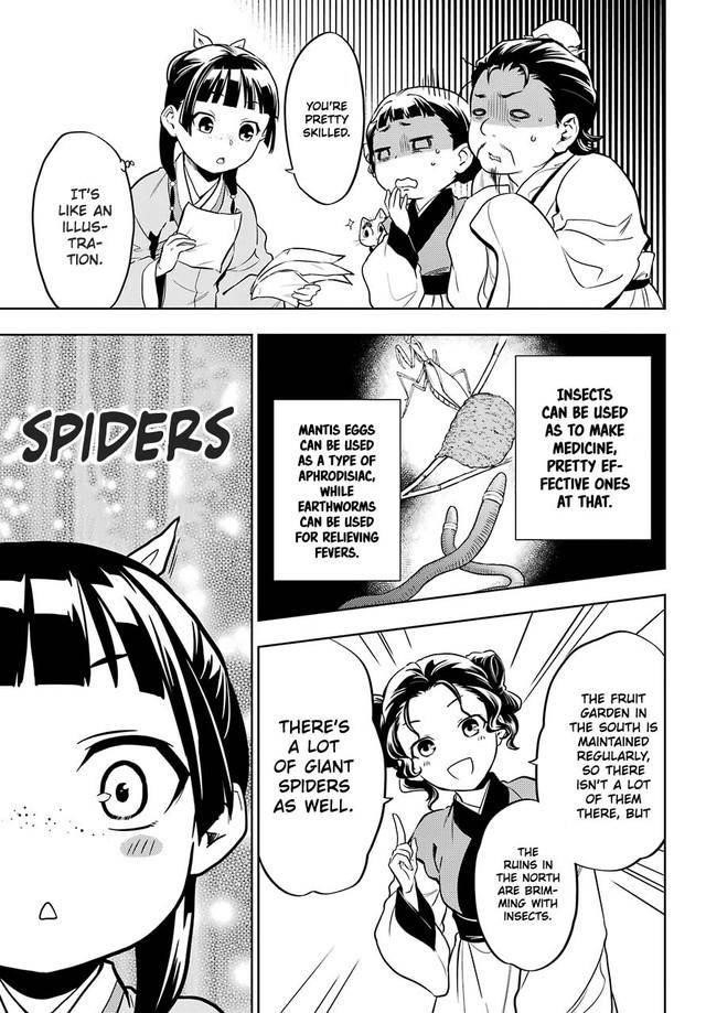 Kusuriya no Hitorigoto Chapter 43.1 - Page 21 in English