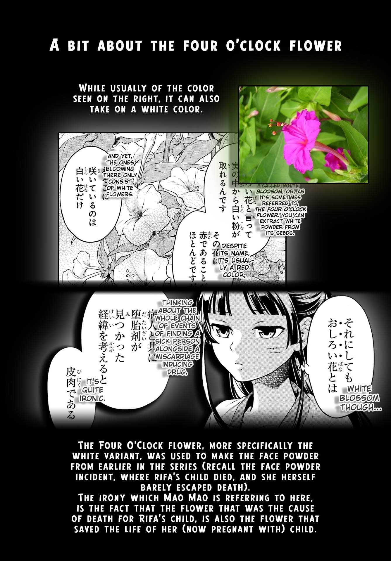 Kusuriya no Hitorigoto Chapter 52.2 - Page 19 in English