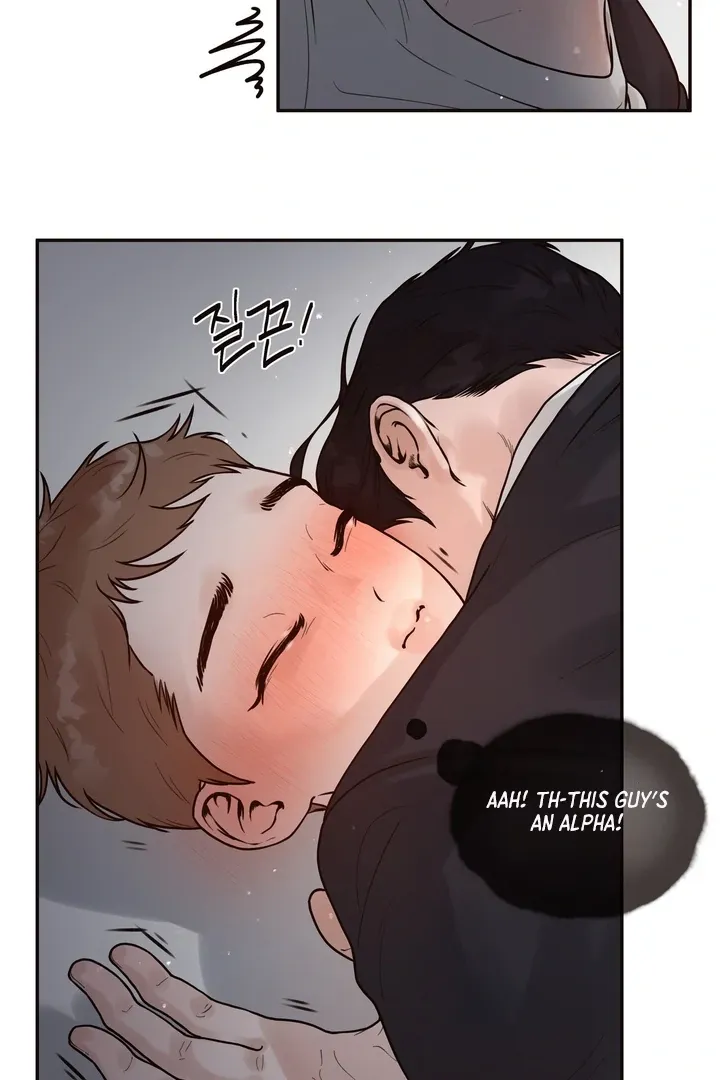 Diopter Chapter 1 - Page 36 in English