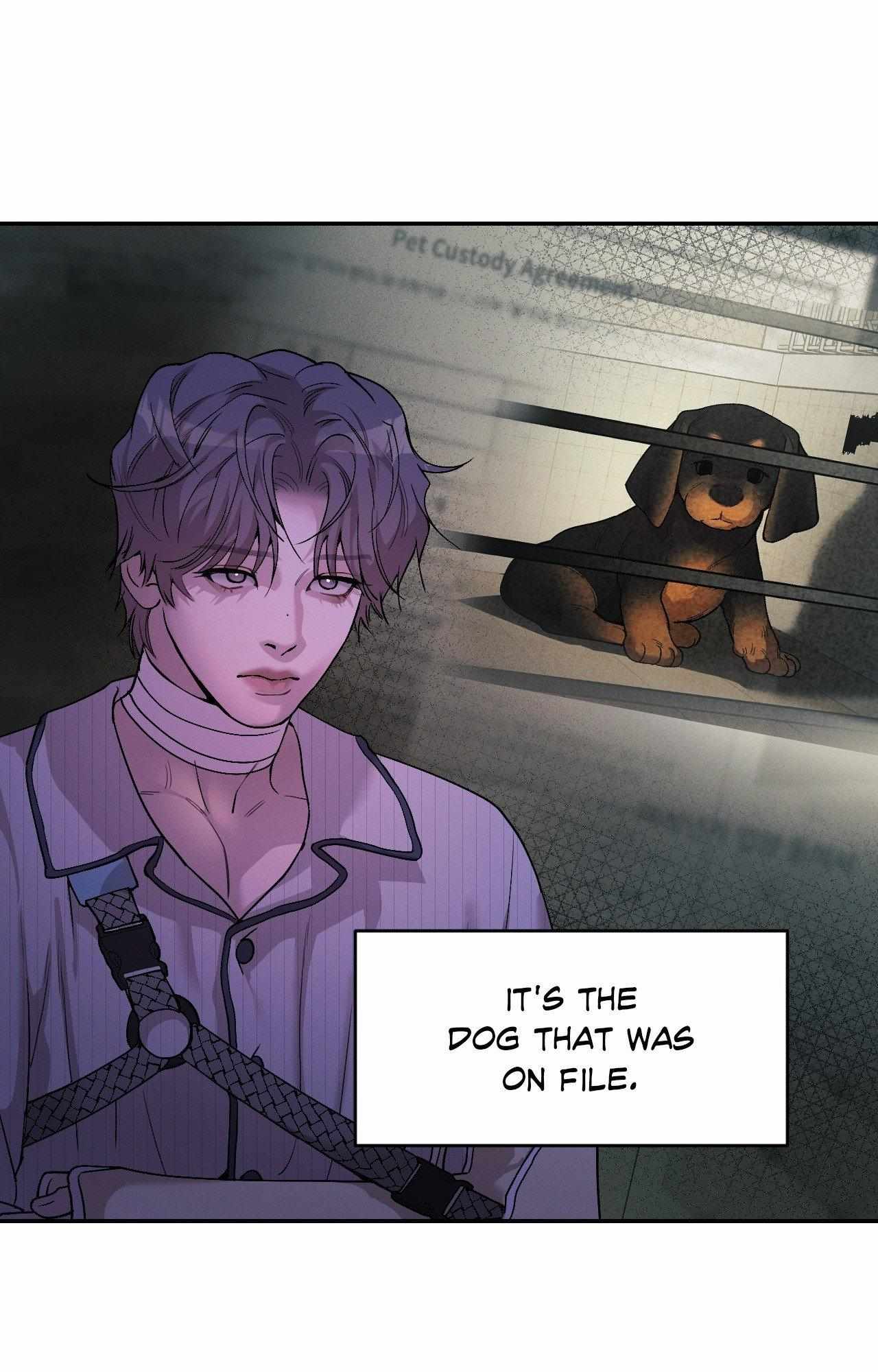 PEARL BOY: IGNITE THE DAWN Chapter 18 - Page 51 in English