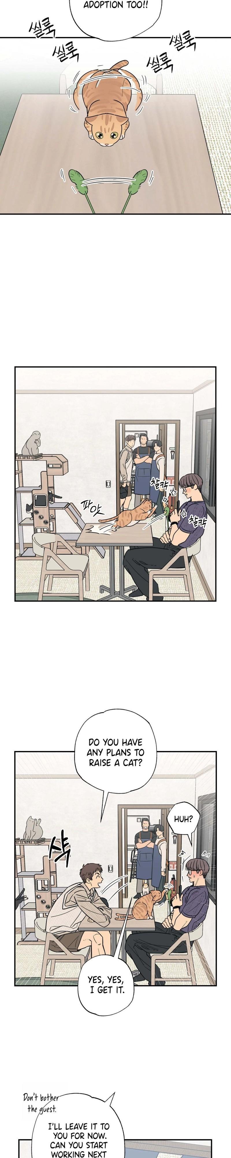 Cat Choice Chapter 12 - Page 13 in English