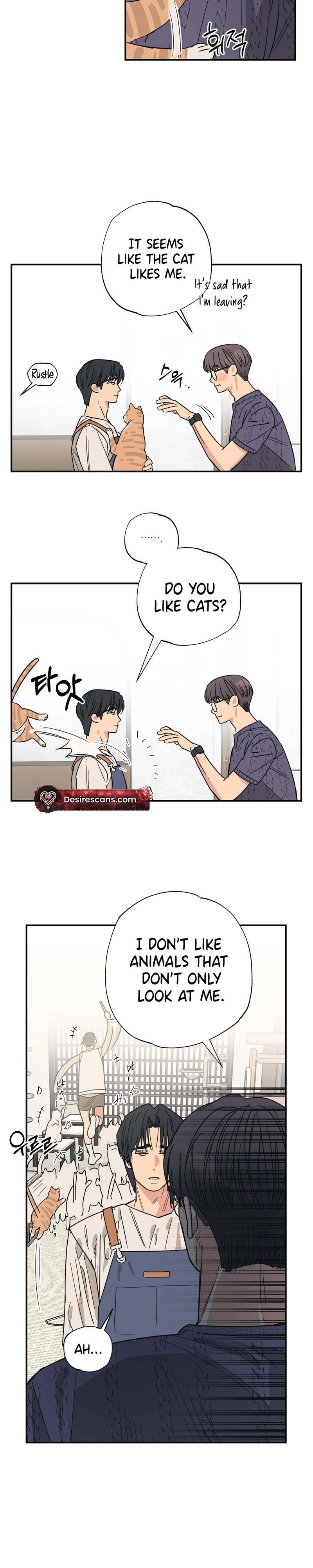 Cat Choice Chapter 12 - Page 20 in English