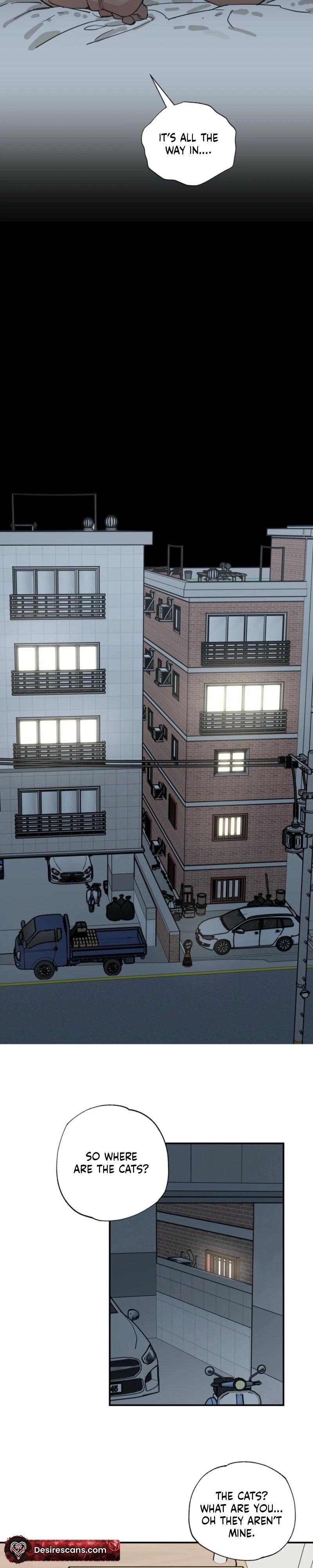 Cat Choice Chapter 13 - Page 18 in English