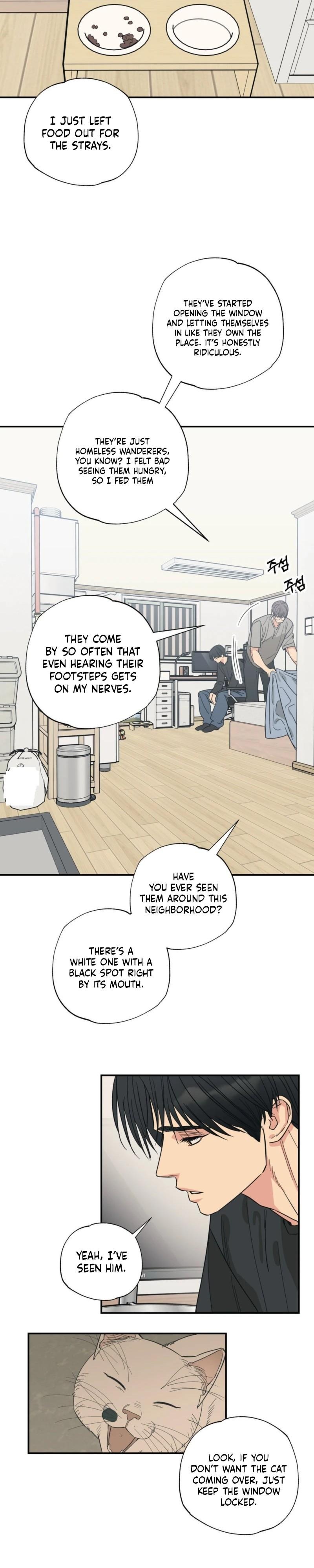 Cat Choice Chapter 13 - Page 19 in English
