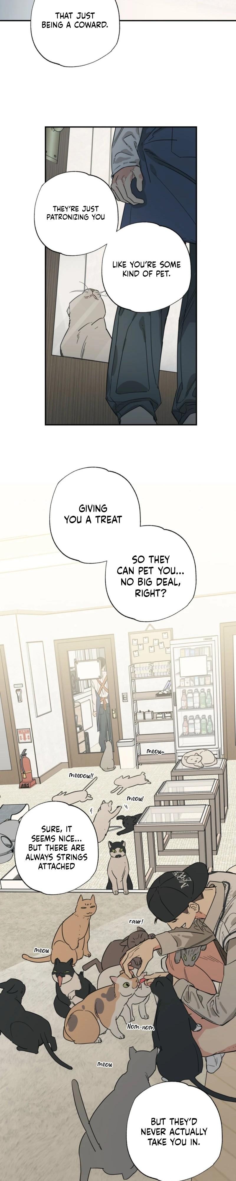 Cat Choice Chapter 13 - Page 4 in English