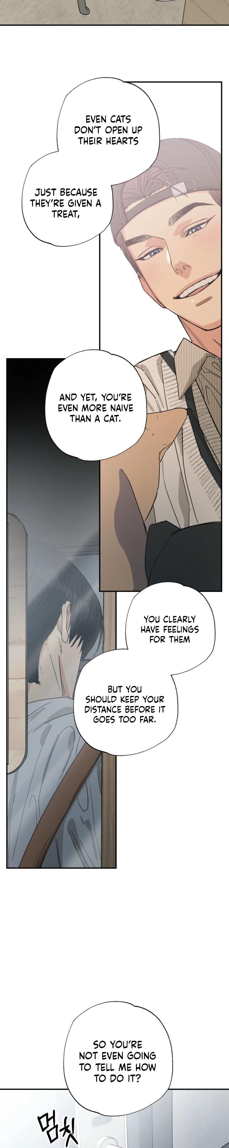 Cat Choice Chapter 13 - Page 5 in English
