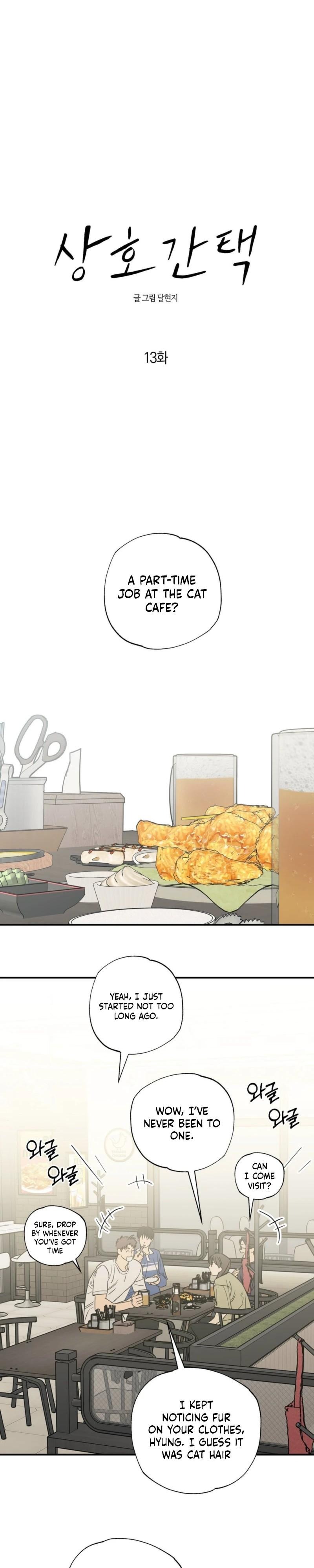 Cat Choice Chapter 13 - Page 8 in English