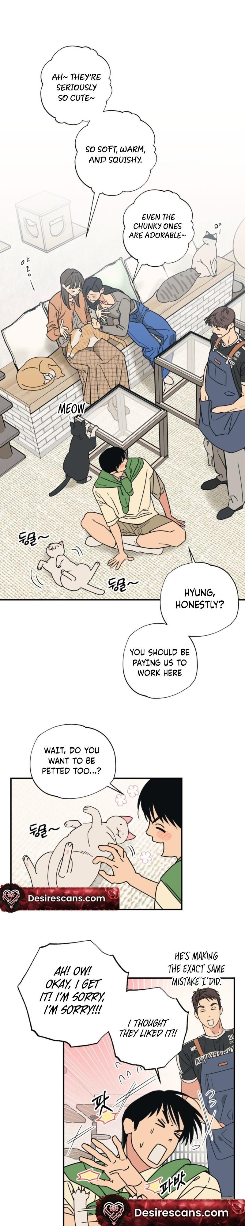 Cat Choice Chapter 14 - Page 3 in English