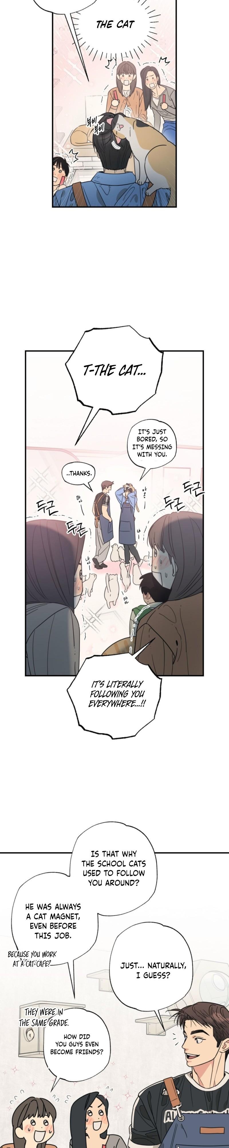 Cat Choice Chapter 14 - Page 5 in English