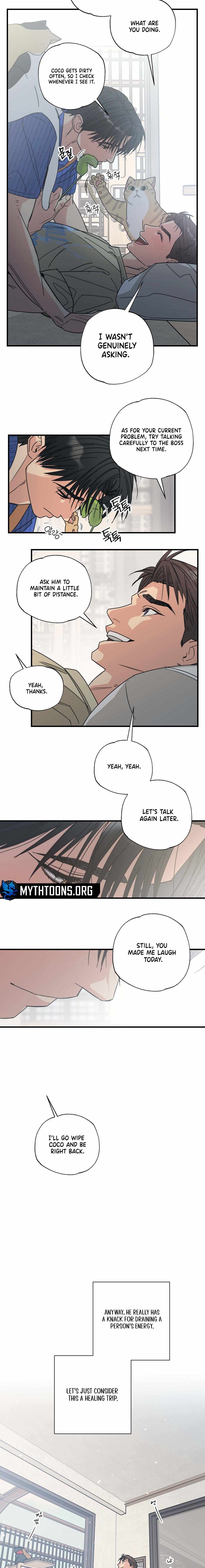 Cat Choice Chapter 3 - Page 13 in English