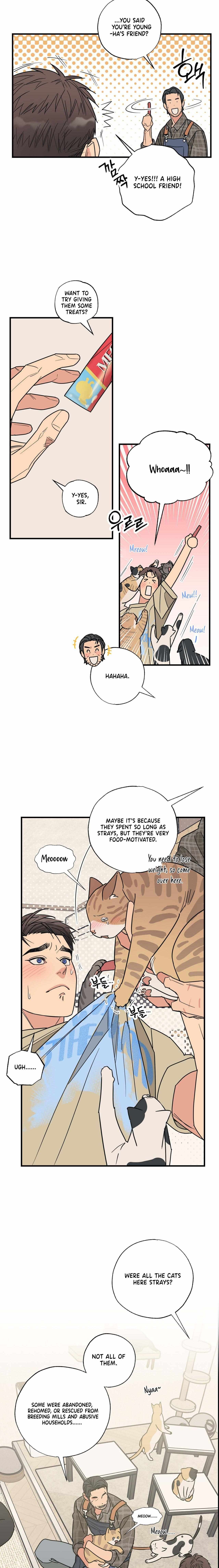 Cat Choice Chapter 3 - Page 6 in English