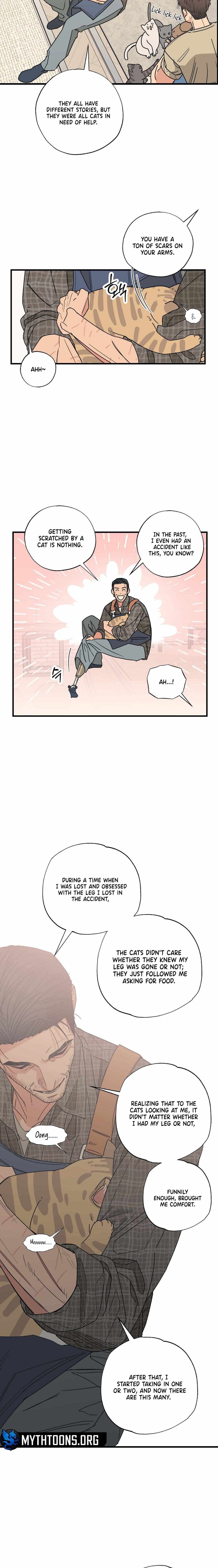 Cat Choice Chapter 3 - Page 7 in English
