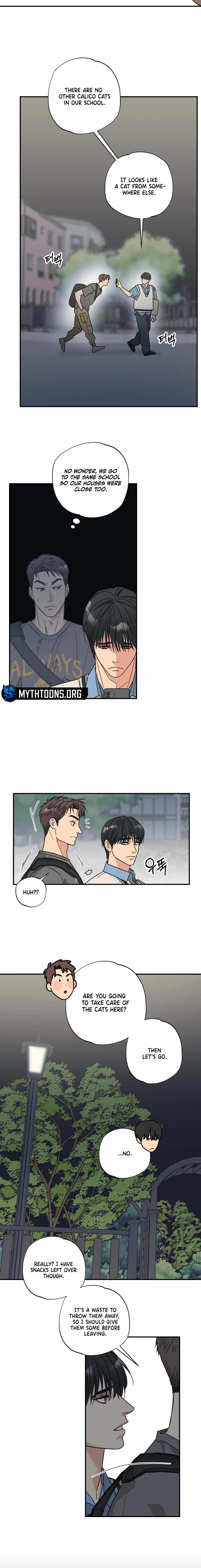 Cat Choice Chapter 5 - Page 6 in English