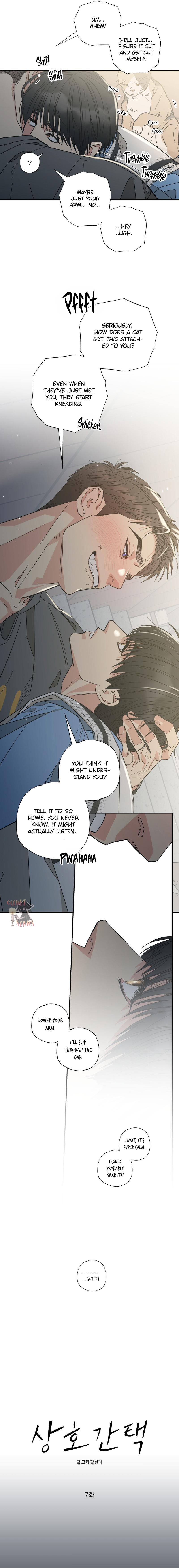 Cat Choice Chapter 7 - Page 8 in English