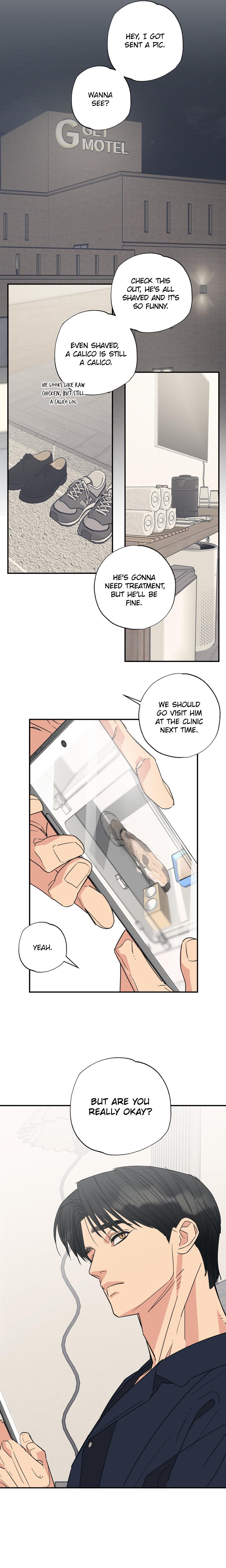 Cat Choice Chapter 7 - Page 9 in English