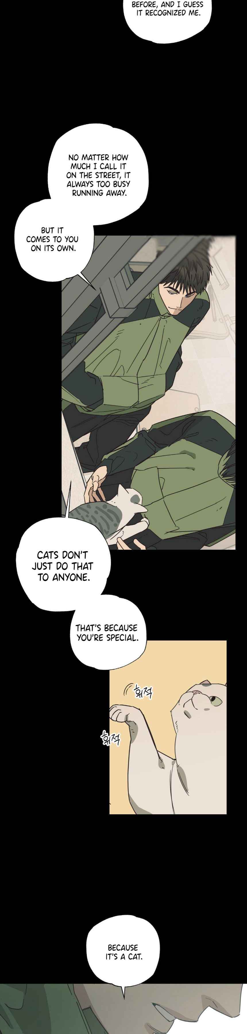 Cat Choice Chapter 9 - Page 10 in English