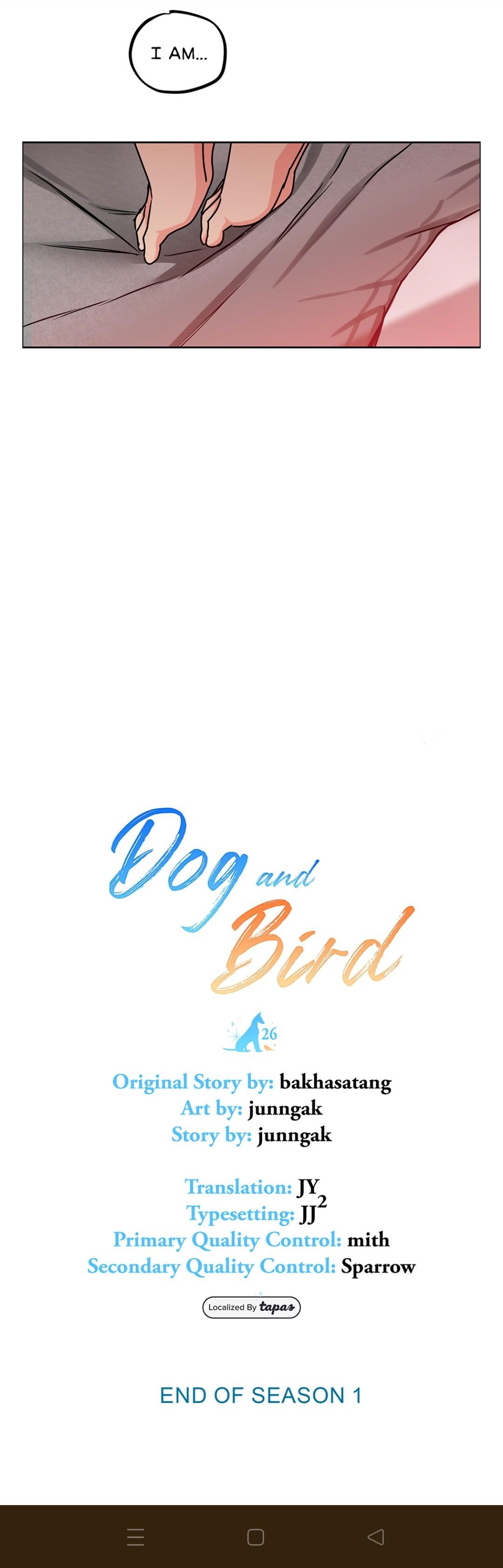 DOG AND BIRD Chapter 26 - Page 33 in English