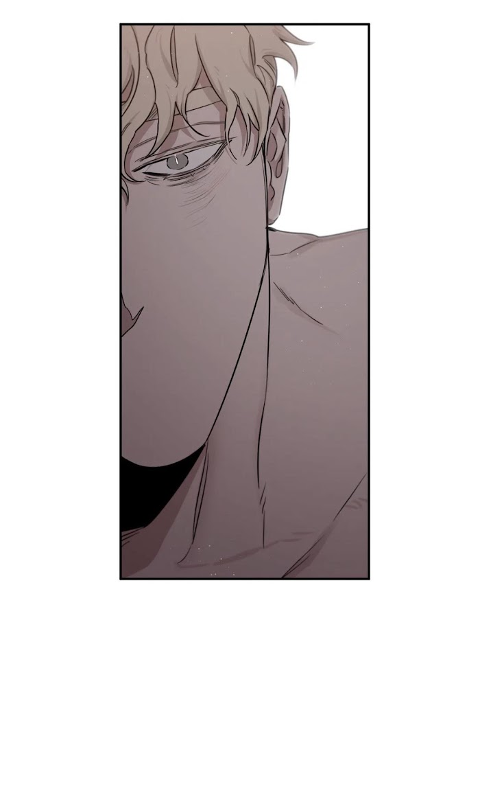 Roses And Champagne [paw] Chapter 29 - Page 14 in English