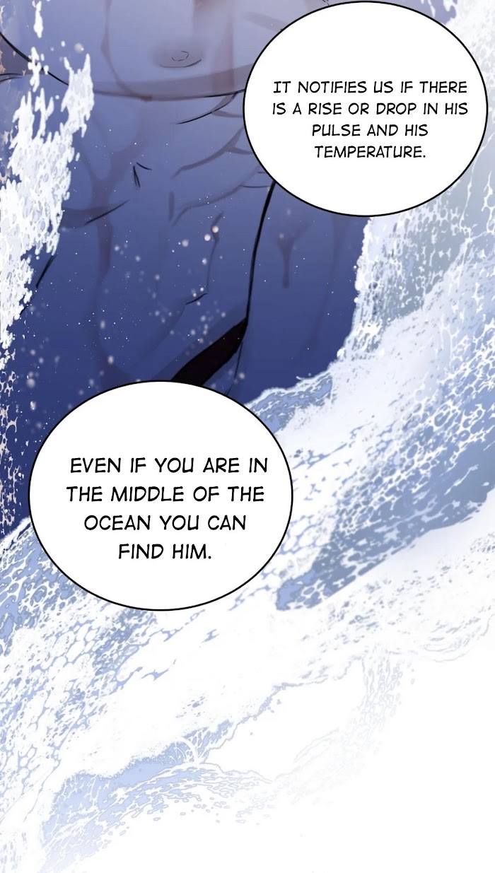 Roses And Champagne [paw] Chapter 30 - Page 43 in English