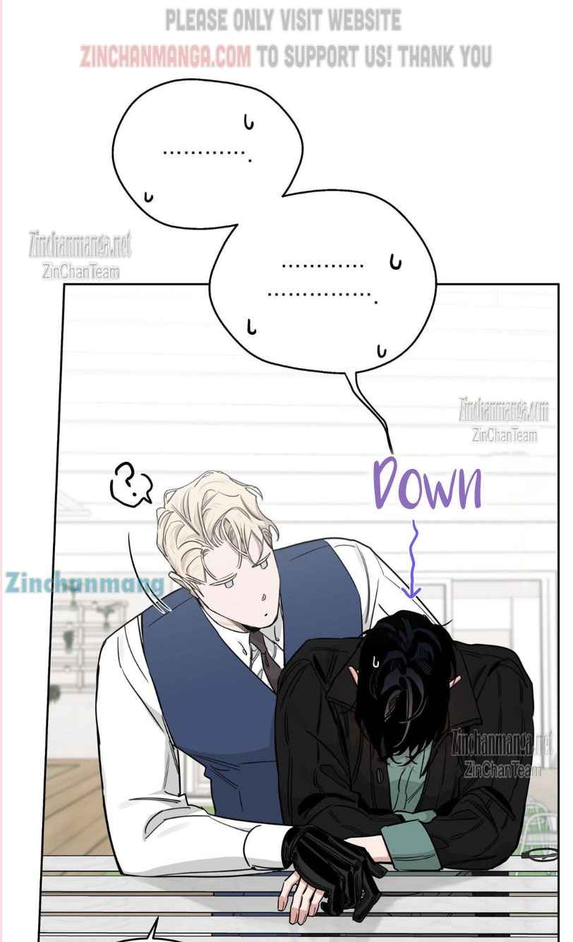 Roses And Champagne [paw] Chapter 89 - Page 12 in English