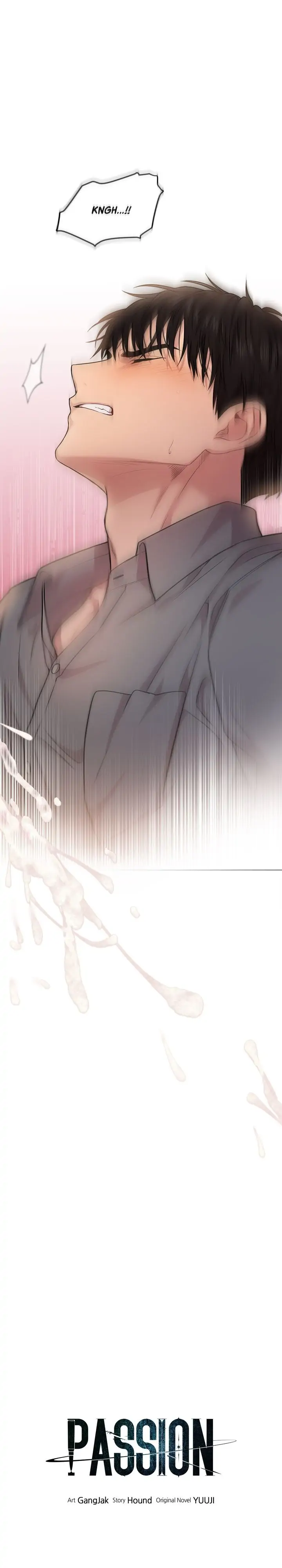 PASSION Chapter 47 - Page 19 in English