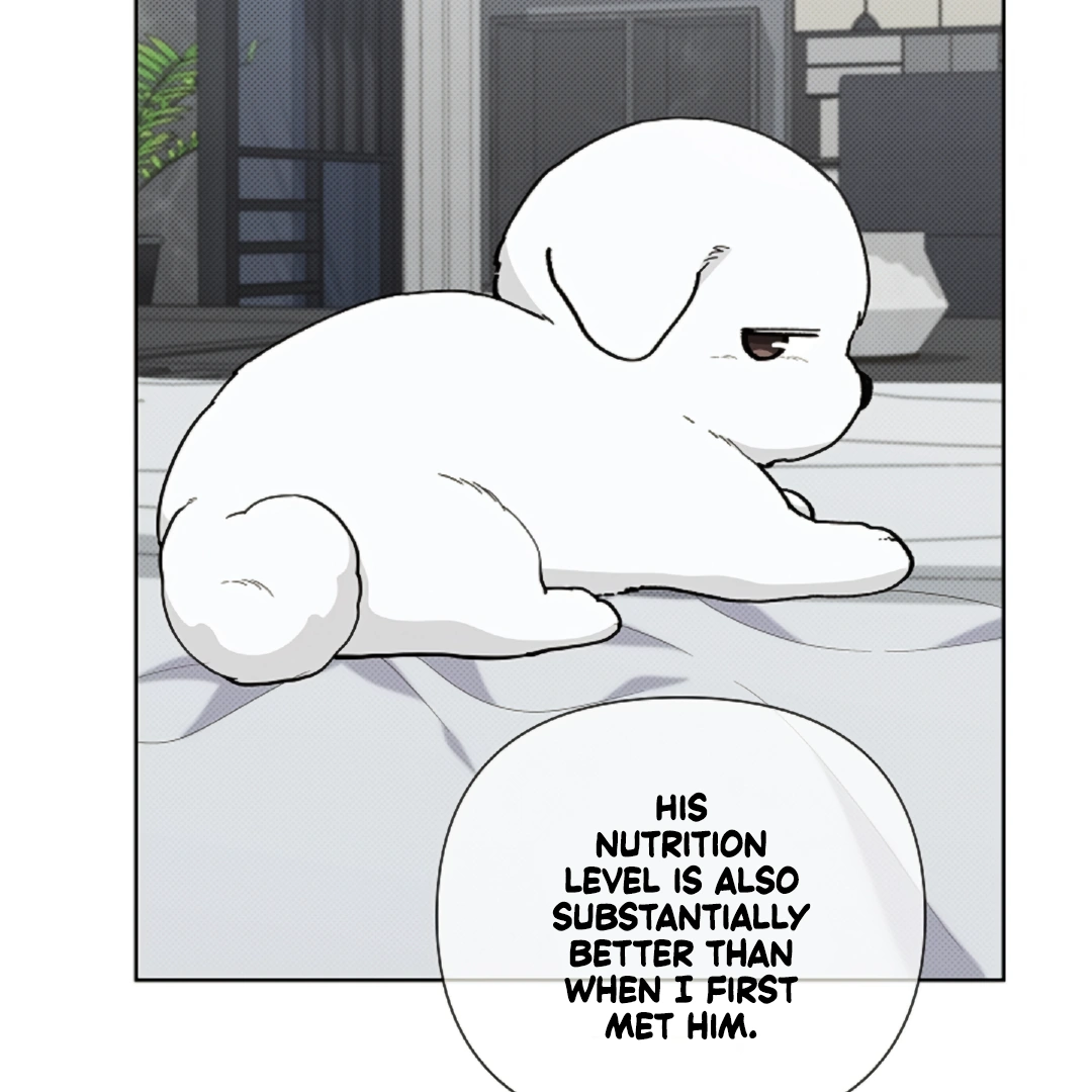 Don’t Mess With the Puppy! Chapter 13 - Page 102 in English