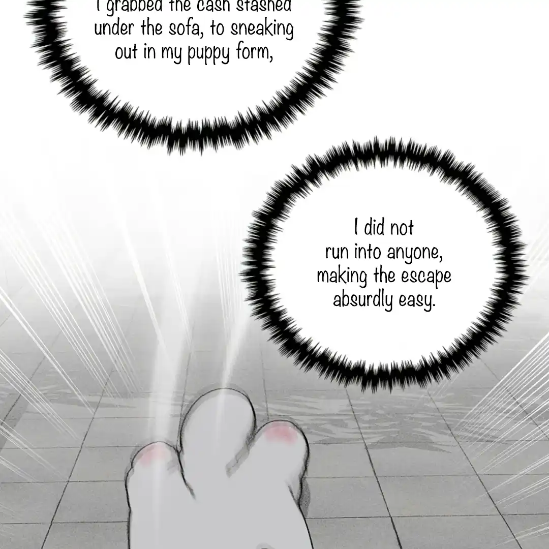 Don’t Mess With the Puppy! Chapter 14 - Page 45 in English