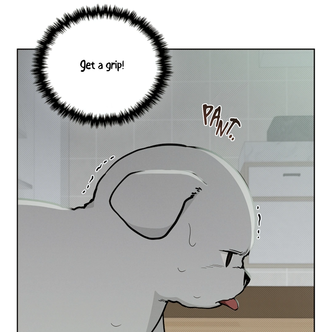 Don’t Mess With the Puppy! Chapter 15 - Page 123 in English