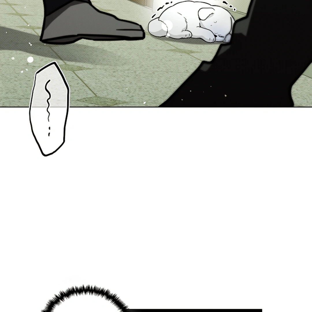 Don’t Mess With the Puppy! Chapter 15 - Page 132 in English