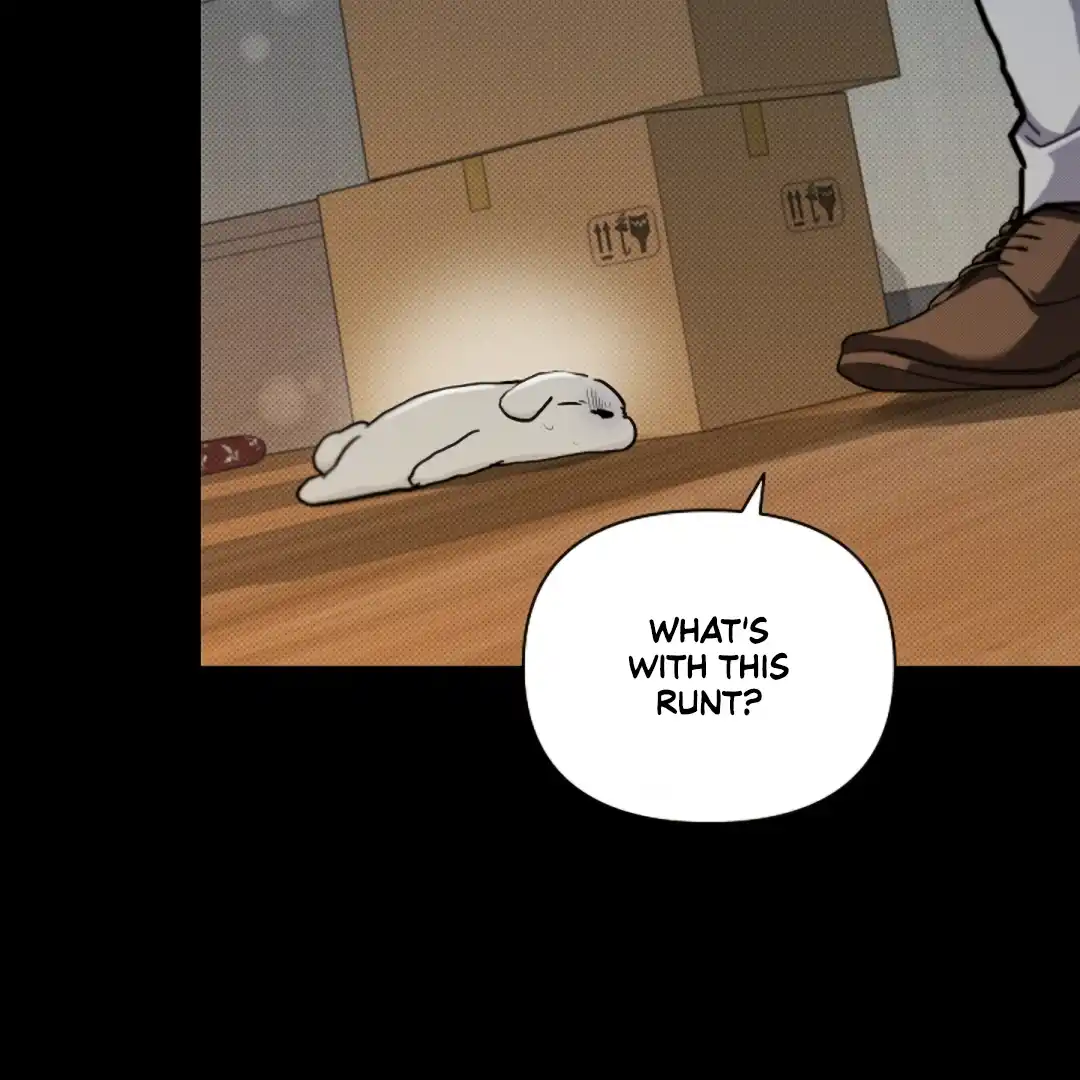 Don’t Mess With the Puppy! Chapter 16 - Page 18 in English