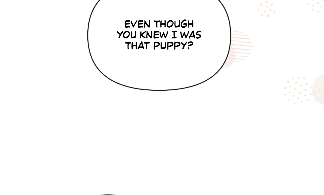 Don’t Mess With the Puppy! Chapter 17 - Page 45 in English