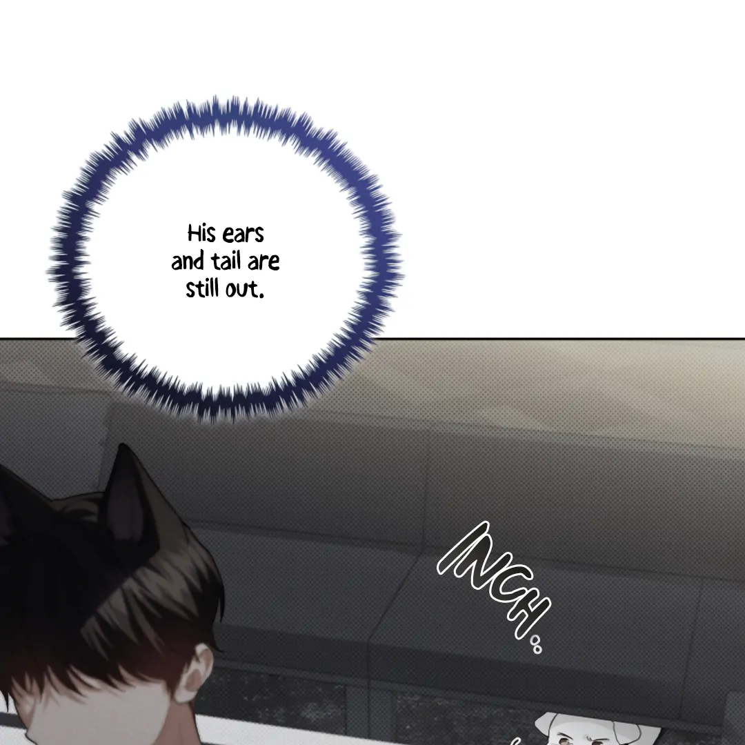 Don’t Mess With the Puppy! Chapter 19 - Page 87 in English