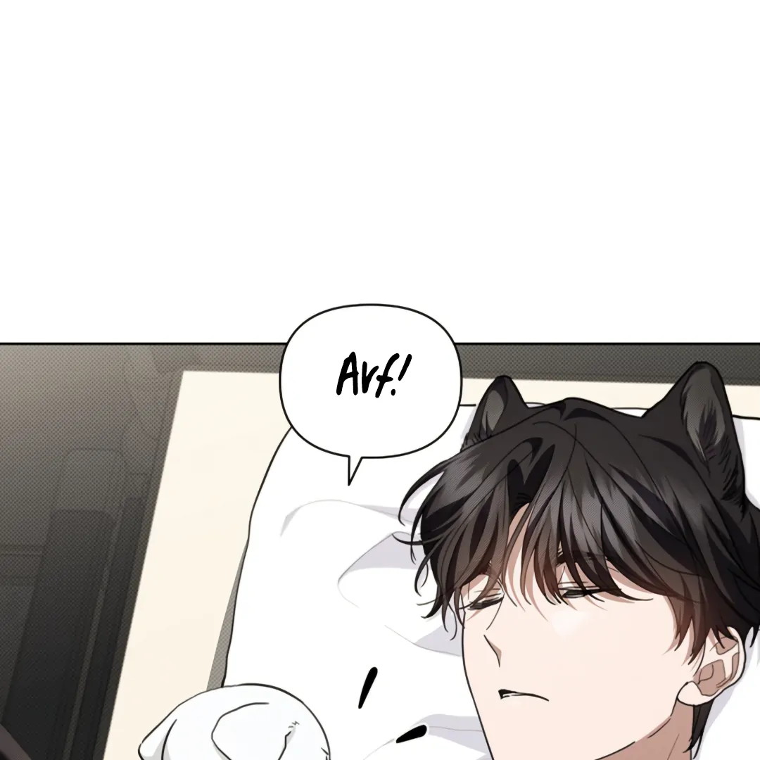Don’t Mess With the Puppy! Chapter 21 - Page 107 in English