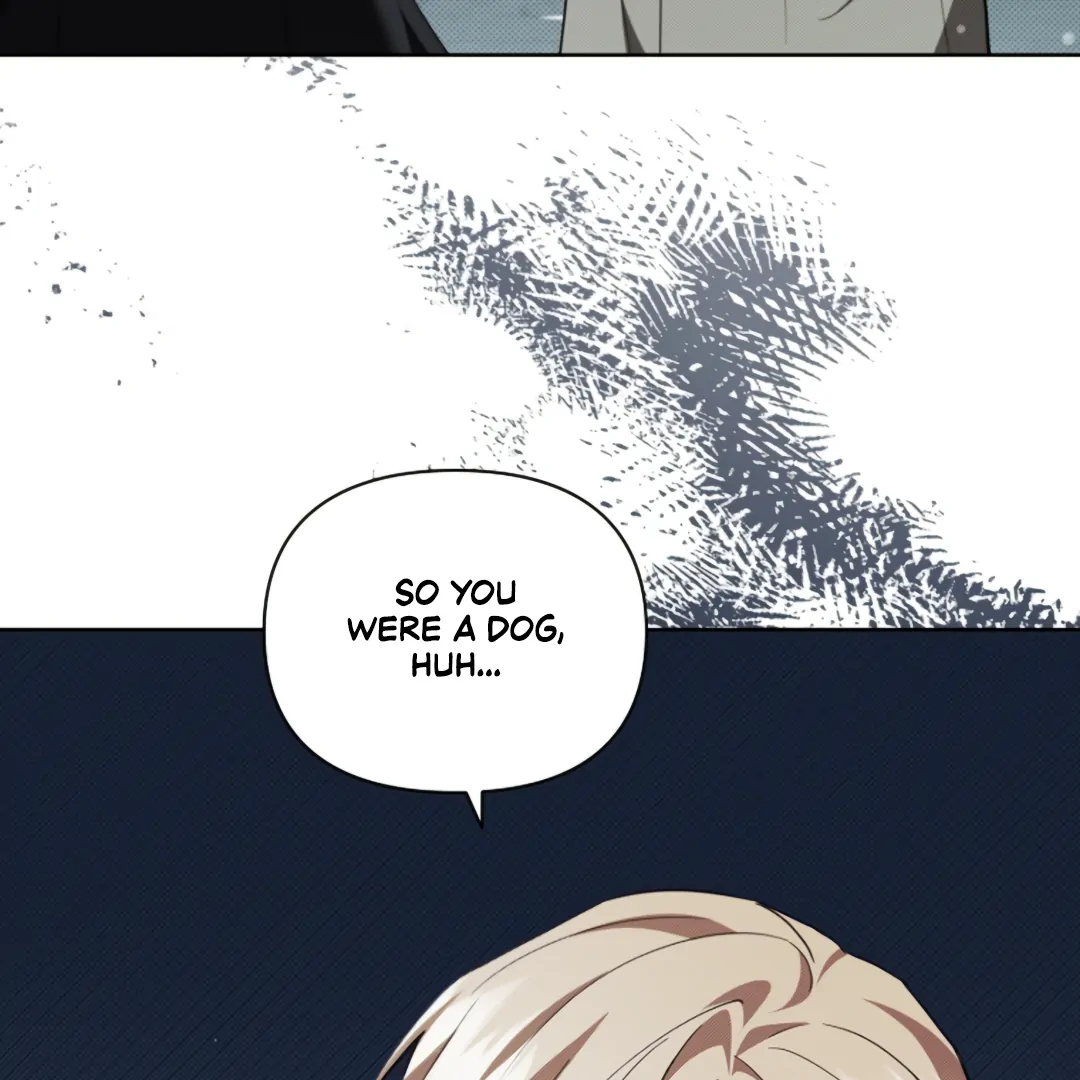 Don’t Mess With the Puppy! Chapter 21 - Page 12 in English