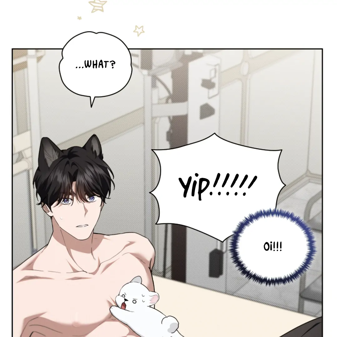 Don’t Mess With the Puppy! Chapter 21 - Page 121 in English
