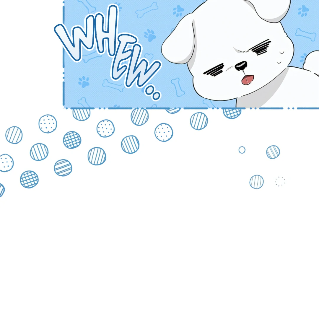 Don’t Mess With the Puppy! Chapter 21 - Page 95 in English
