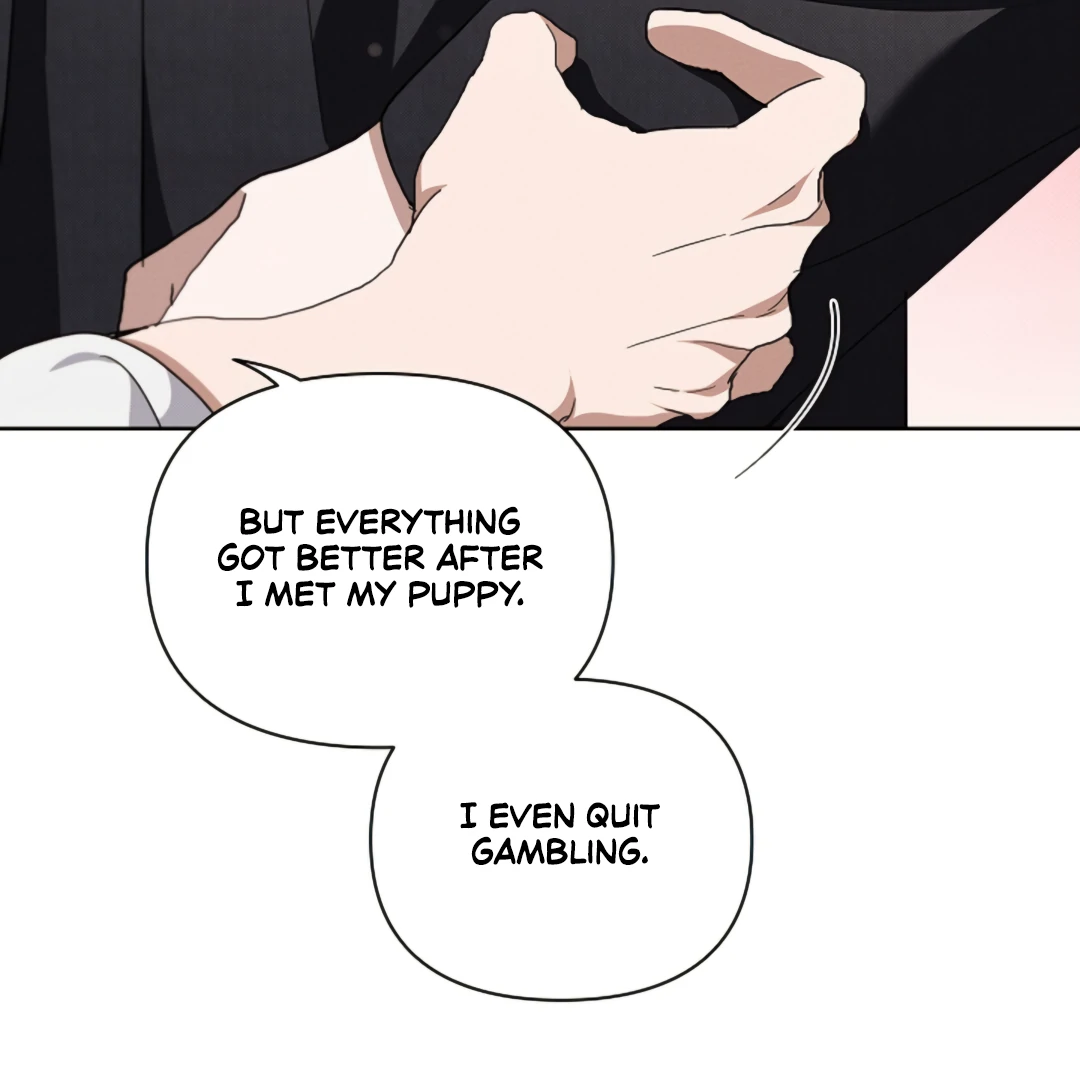 Don’t Mess With the Puppy! Chapter 22 - Page 66 in English