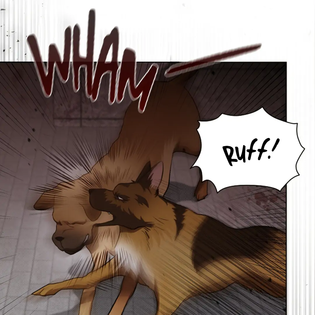 Don’t Mess With the Puppy! Chapter 23 - Page 143 in English