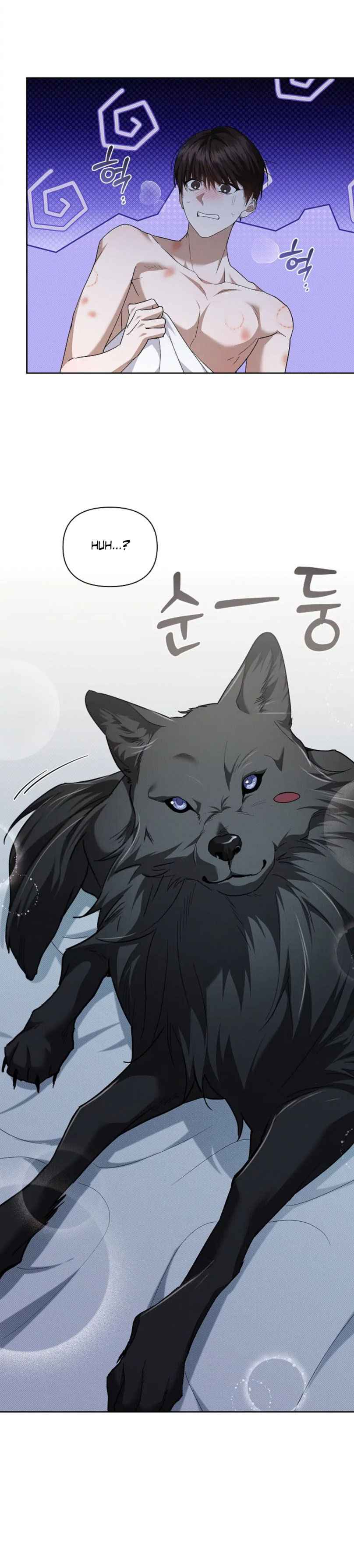 Don’t Mess With the Puppy! Chapter 27 - Page 12 in English
