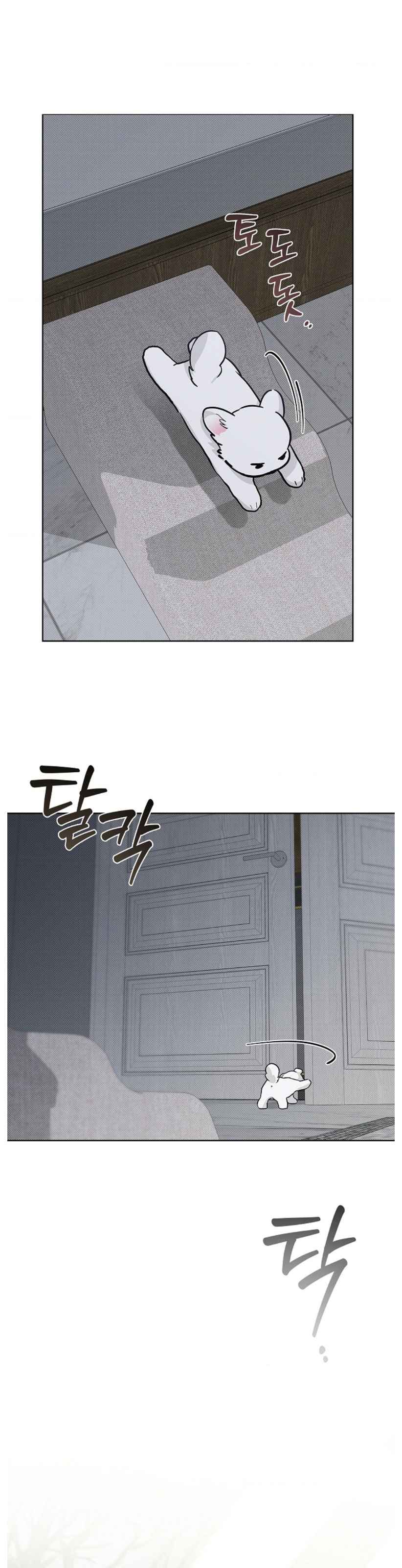 Don’t Mess With the Puppy! Chapter 35.5 - Page 10 in English