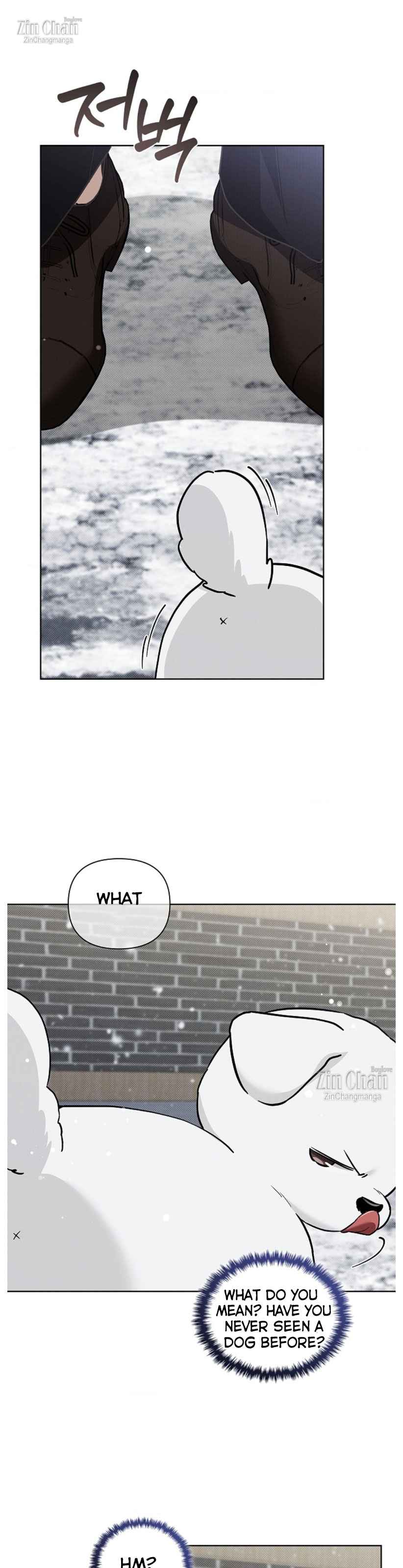 Don’t Mess With the Puppy! Chapter 35.5 - Page 13 in English