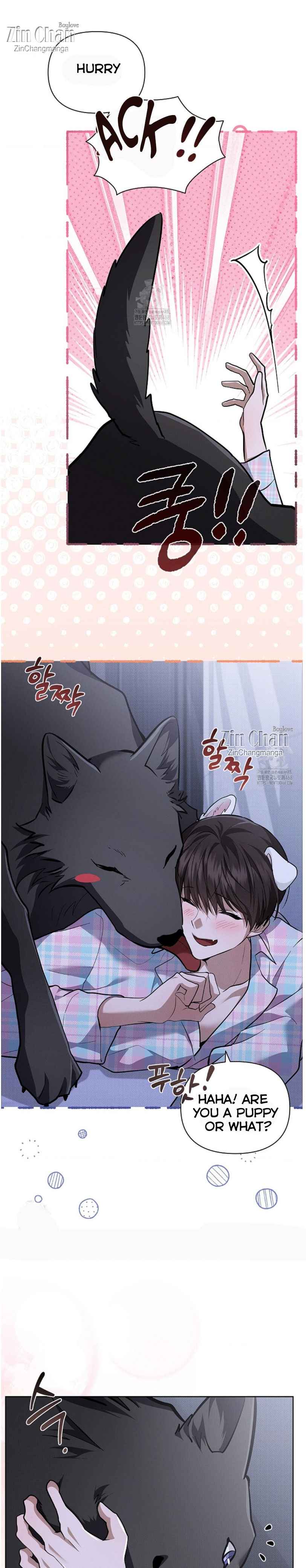 Don’t Mess With the Puppy! Chapter 50.5 - Page 16 in English
