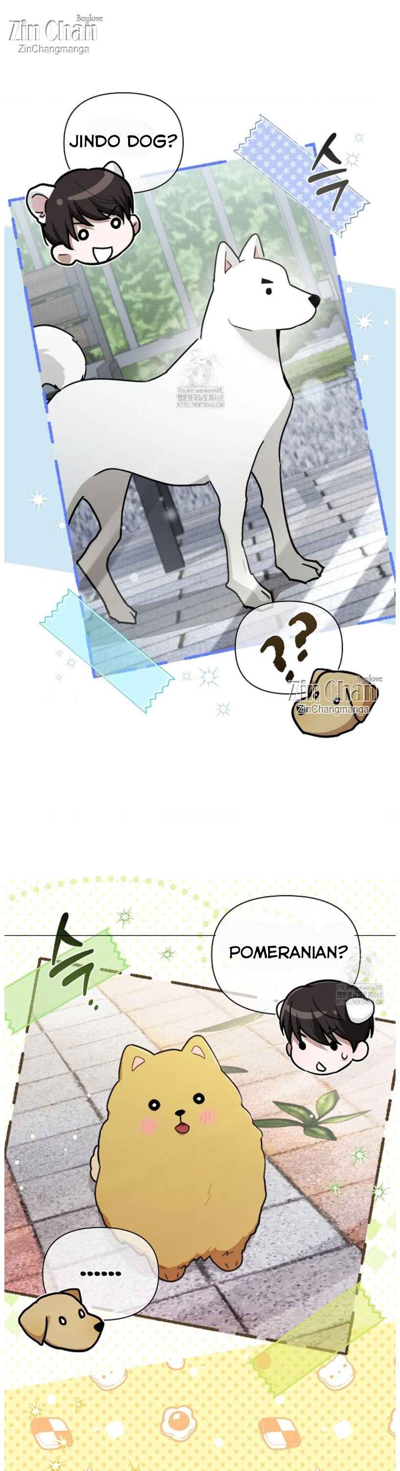 Don’t Mess With the Puppy! Chapter 50 - Page 16 in English