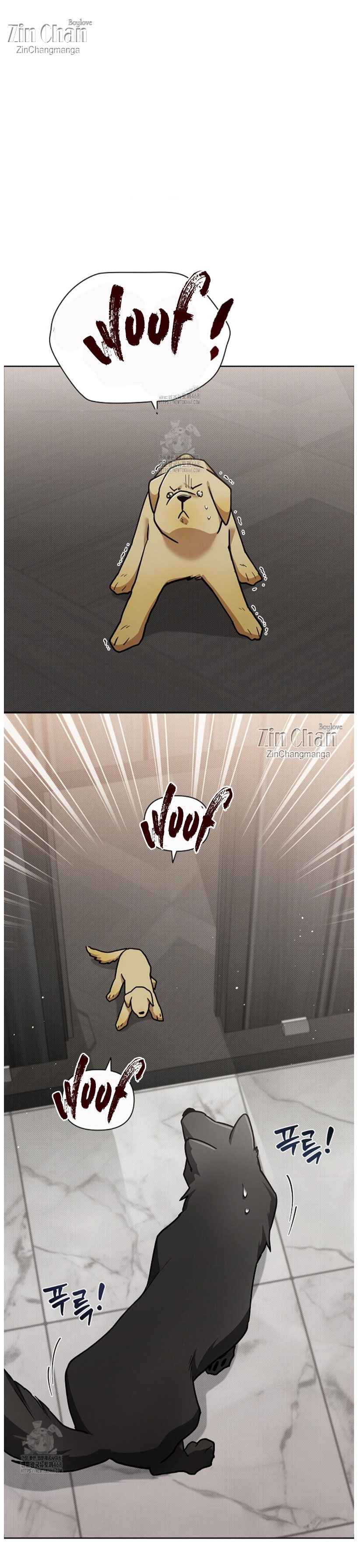 Don’t Mess With the Puppy! Chapter 50 - Page 7 in English